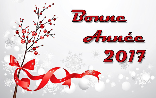 Tous mes meilleurs voeux pour cette Année 2017
